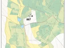 Prodej lesa, Útěchovičky, 360 m2