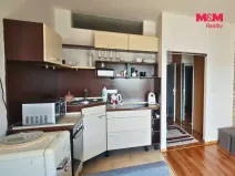 Pronájem bytu 1+kk, Brno - Slatina, Zlínská, 29 m2