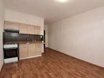 Pronájem bytu 1+1, Chomutov, Písečná, 35 m2