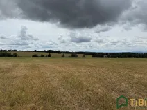 Prodej pole, Suchý, 2000 m2