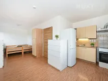Pronájem bytu 1+kk, Syrovice, 33 m2