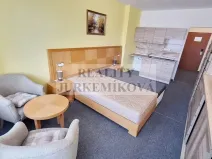 Prodej bytu 1+kk, Frymburk, 30 m2