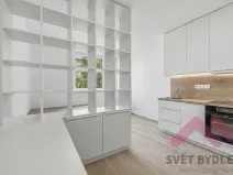 Pronájem bytu 1+kk, Praha - Žižkov, Biskupcova, 25 m2