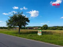 Prodej pozemku pro bydlení, Hostomice - Radouš, 1248 m2