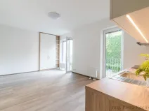 Pronájem bytu 1+kk, Brno - Zábrdovice, Francouzská, 30 m2