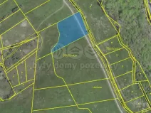 Prodej louky, Štěchovice, 4926 m2