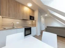 Pronájem bytu 1+kk, Praha - Bubeneč, Veletržní, 30 m2
