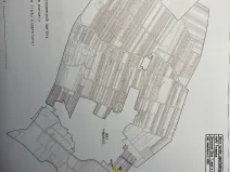Prodej zahrady, Tvrdonice, Lesní, 8790 m2
