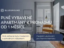 Pronájem bytu 1+kk, Praha - Bubeneč, Veletržní, 30 m2