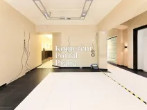 Pronájem obchodního prostoru, Praha - Nové Město, Václavské náměstí, 309 m2