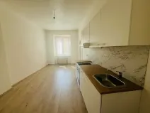 Pronájem bytu 1+1, Praha, 55 m2