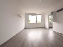 Pronájem bytu 1+1, Blatná, Na Bílé husi, 44 m2