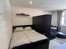 Prodej bytu 1+1, Teplice, Fügnerova, 48 m2