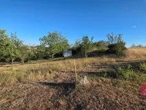 Prodej zahrady, Tvarožná, 1236 m2