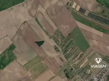 Prodej zahrady, Svatobořice-Mistřín, 1124 m2