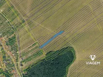 Prodej pole, Boršice u Blatnice, 1908 m2