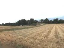 Prodej zahrady, Cítov, 958 m2