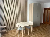 Pronájem bytu 1+kk, České Budějovice, Riegrova, 32 m2