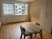 Pronájem bytu 1+kk, České Budějovice, Riegrova, 32 m2