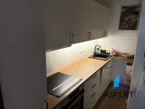 Pronájem bytu 2+1, Praha - Karlín, Vítkova, 65 m2