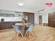 Pronájem bytu 2+kk, Mladá Boleslav - Mladá Boleslav I, Železná, 81 m2