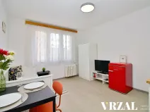 Pronájem bytu 1+kk, Plzeň, Heyrovského, 20 m2