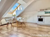 Pronájem bytu 1+kk, Praha - Vinohrady, Šrobárova, 50 m2