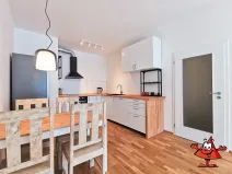 Pronájem bytu 1+kk, Praha - Karlín, Breitfeldova, 61 m2