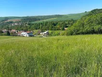 Prodej podílu louky, Buchlovice, 8138 m2