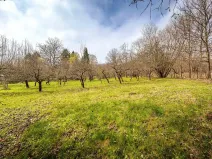 Prodej pozemku pro bydlení, Lhenice, 1219 m2