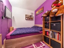 Prodej bytu 2+1, Plzeň, Brněnská, 39 m2
