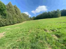Dražba louky, Sobotín, 10593 m2