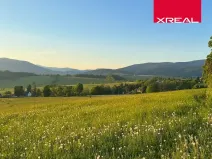 Prodej pozemku pro bydlení, Mladé Buky, 115000 m2
