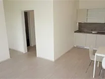 Pronájem bytu 1+kk, Střelice, Příční, 43 m2