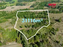 Prodej lesa, Horní Heřmanice, 31116 m2