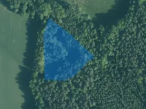 Dražba louky, Kynšperk nad Ohří, 52482 m2