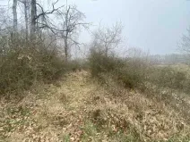 Dražba pole, Slatina, 13059 m2