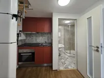 Pronájem bytu 1+kk, Brno, Čechyňská, 23 m2