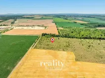 Prodej sadu/vinice, Křídlůvky, 22053 m2