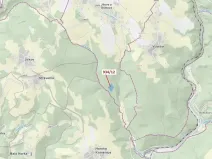 Dražba lesa, Jílové u Držkova, 10166 m2
