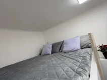 Pronájem bytu 1+kk, Opava - Předměstí, Alšova, 15 m2