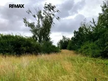 Prodej pozemku, Číčovice, 5606 m2