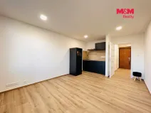 Pronájem bytu 1+kk, Ostrava - Moravská Ostrava, 30. dubna, 28 m2
