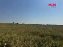 Prodej pole, Město Albrechtice, 224621 m2