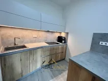 Pronájem bytu 2+kk, Brno, Zaječí hora, 69 m2