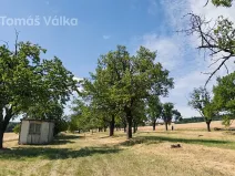 Prodej sadu/vinice, Troubky-Zdislavice, 19632 m2