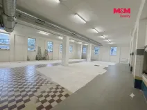 Pronájem obchodního prostoru, Ostrava - Slezská Ostrava, Šenovská, 560 m2