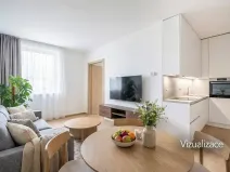 Prodej bytu 2+kk, Brno, Holzova, 41 m2