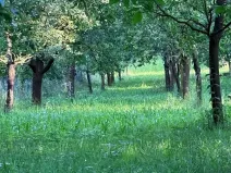 Prodej pozemku pro bydlení, Podolí, 1608 m2