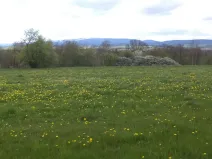 Dražba louky, Staré Město, 10063 m2